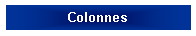 Zone de Texte: Colonnes